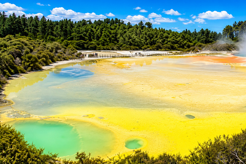Tauranga: Wai-O-Tapu Thermal Wonderland Cruise Ship Tour