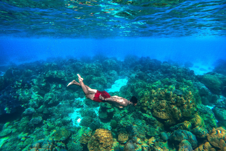 Khao Lak : Excursion de plongée en apnée dans les îles Surin avec le village Moken