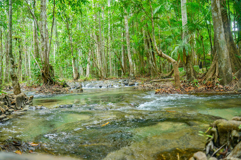 Fuga particular de Krabi: Piscina Esmeralda, Fontes Termais e Caverna do TigreVan particular