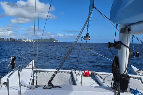 Oahu : aventure de plongée avec tuba dans le Turtle Canyon avec équipementOahu : Aventure de plongée avec tuba dans le Turtle Canyon, équipement fourni