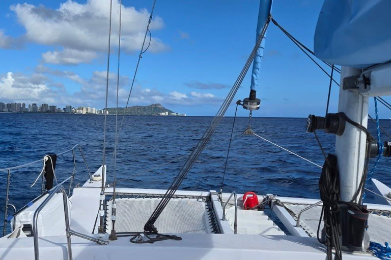 Oahu : aventure de plongée avec tuba dans le Turtle Canyon avec équipementOahu : Aventure de plongée avec tuba dans le Turtle Canyon, équipement fourni
