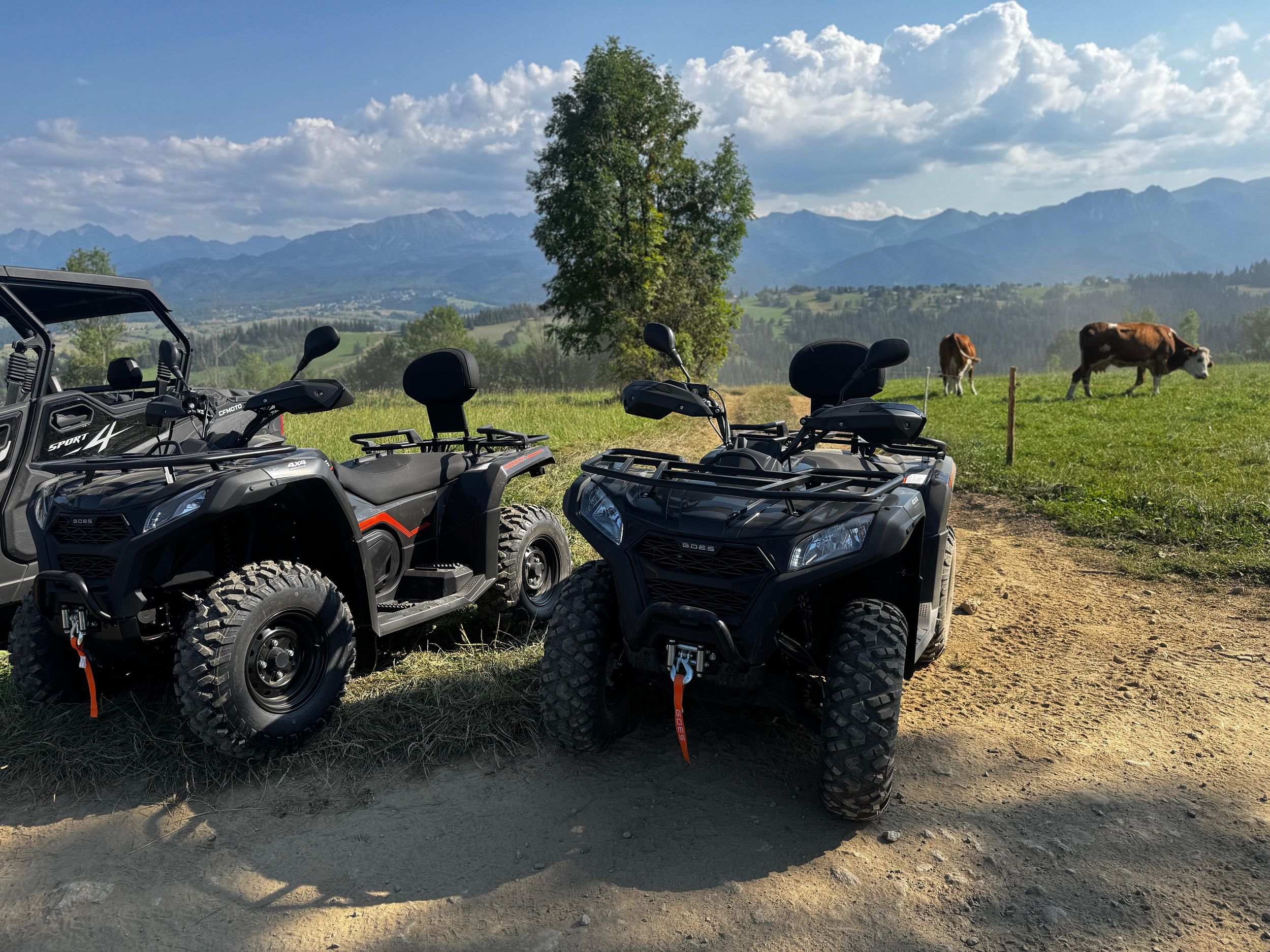 Zakopane: Quad-Tour mit Guide in den Tatra-Bergen