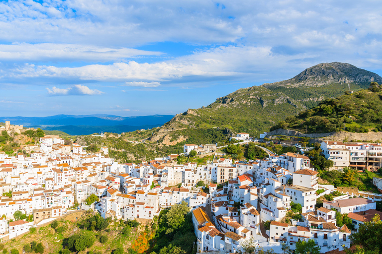 Wioska Casares i tradycyjny rynekCasares i mercadillo típico