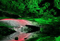 Hallstatt and Salt Mines Small-Group Tour from Salzburg - Housity