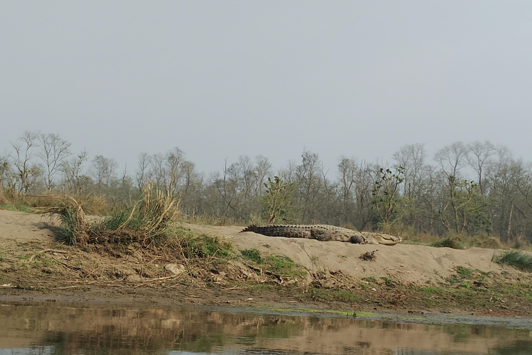 From Kathmandu: 4-Day Chitwan National Park Tour