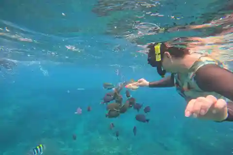 Bali: Experiência de snorkeling na Lagoa Azul e em Tanjung Jepun