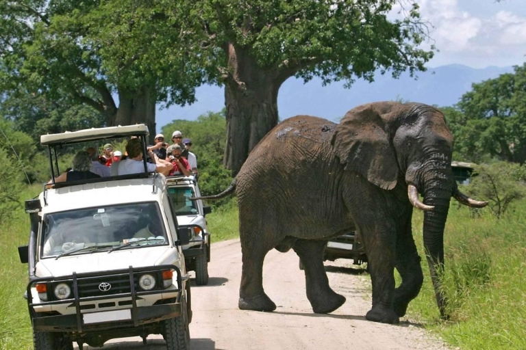 Safari de 4 jours en milieu de gamme Amboseli/Tsavo Ouest/Tsavo Est-Mombasa
