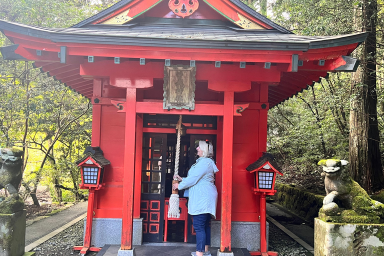 From Tokyo: Nikko World Heritage Sight Full Day Private Tour