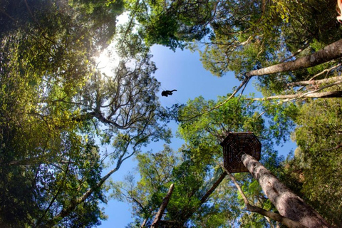 Magaliesberg: Ysterhout Gorge Zipline Crossing with Transfer