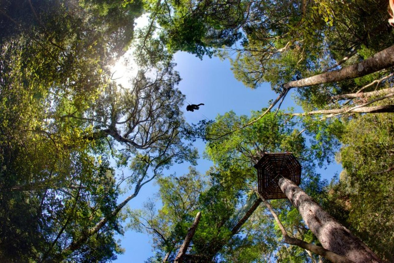 Magaliesberg: Ysterhout Gorge Zipline Crossing with Transfer