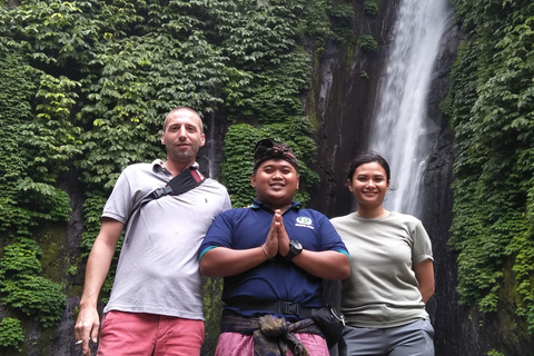 Bali: Djungelvattenfall jagar din dröm privat tur