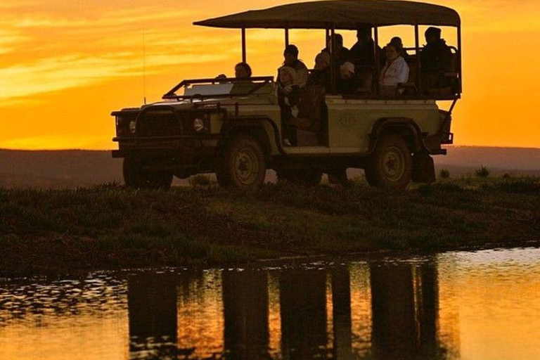 Mombasa: Tsavo West Overnight Safari & Night Drive at Ziwani
