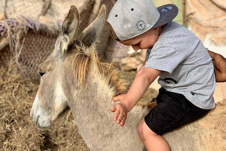 Boavista: Tradycyjna i lokalna wycieczka