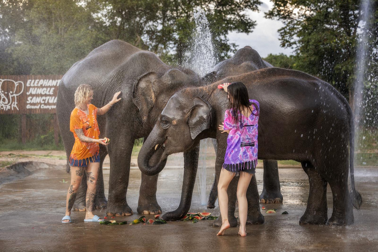 Chiang Mai : Programme éthique d&#039;alimentation et de douche des éléphants