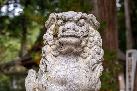 Kanazawa: Shirakawa-go privé-dagtour met lunch