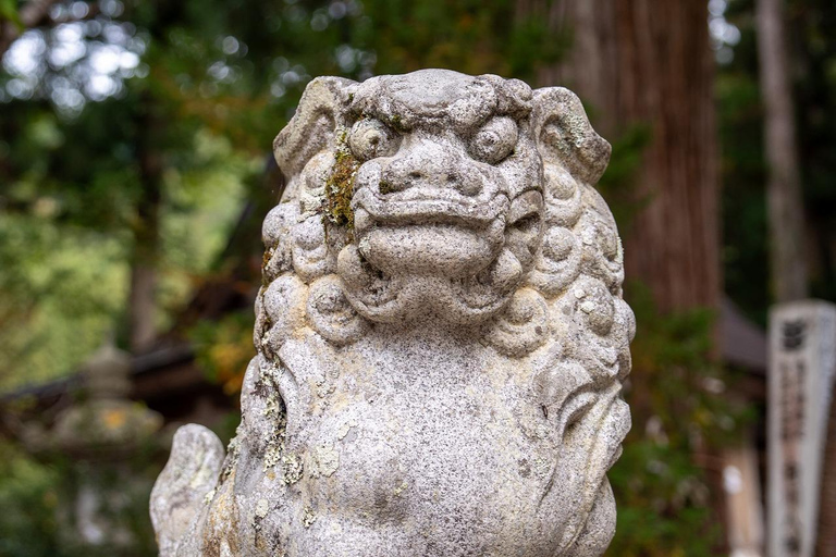 Kanazawa: Shirakawa-go privé-dagtour met lunch