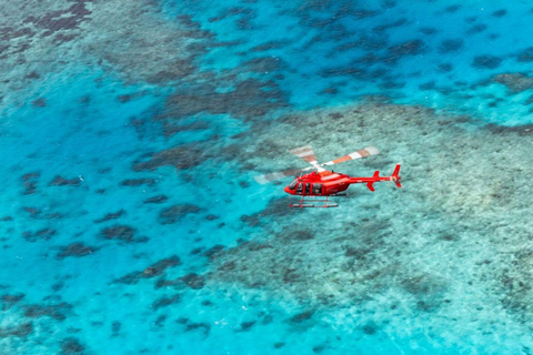 Cairns: 30-minutowy lot helikopterem na Wielką Rafę Koralową