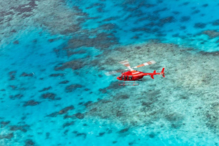 Cairns: 30-minutowy lot helikopterem na Wielką Rafę Koralową