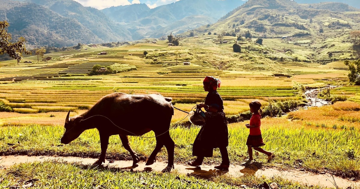 Sapa: Trekking to Y Linh Ho, Lao Chai & Ta Van Villages
