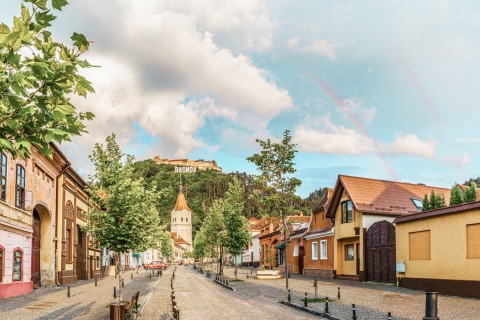 Boekarest: Dracula's kasteel, Peleș & Brașov in kleine groepDoordeweekse tour