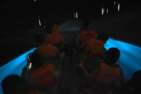 Bioluminiscencia Laguna de Manialtepec