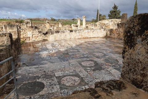 Wycieczka po Afryce Północnej do parku Utique-Bizerte-Ichkeul (UNESCO)