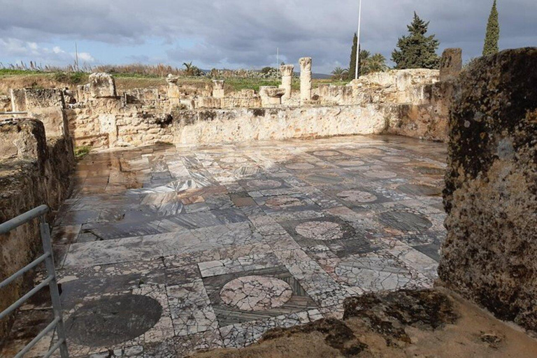 Nordafrika-tur till Utique-Bizerte-Ichkeul park (UNESCO)