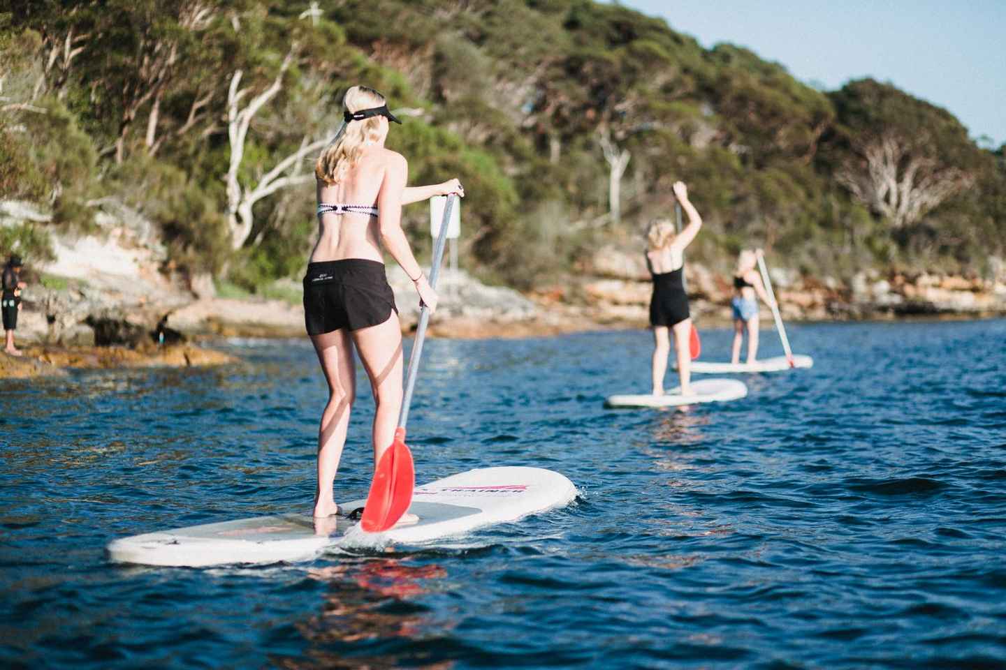 Manly Stand Up Paddle Board Hire - Manly Stand Up Paddle Board Hire