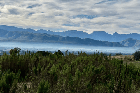 Franschhoek: Ganztagestour mit Reiten und Weinverkostung