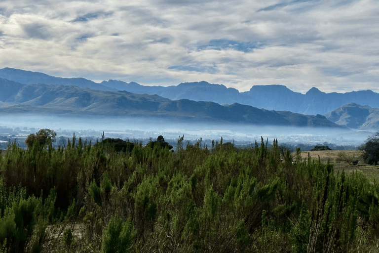 Franschhoek: Heldagstur med ridning och vinprovning