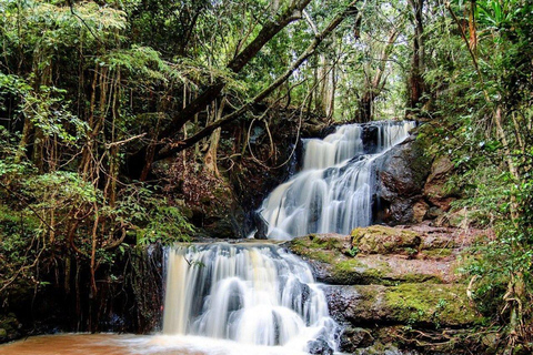 Nairobi: Karura Forest Walk & Waterfall Experience Tour