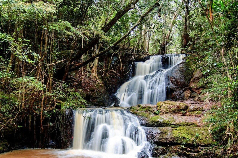 Nairobi: Karura Forest Walk & Waterfall Experience Tour