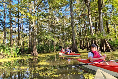 Atchafalaya Basin: 2,5 Std. Geführte Kajaktour