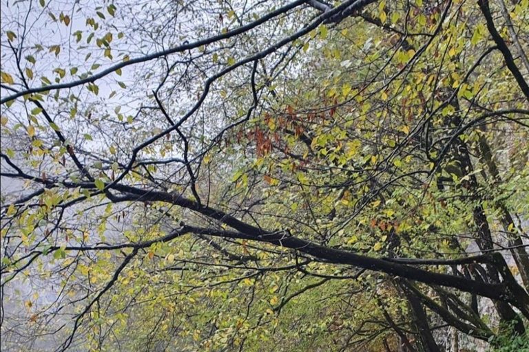 TOUR PRIVATO da Zagabria: Dubovac, Rastoke e Plitvice.Tour privato da Zagabria: Dubovac, Rastoke e laghi di Plitvice.