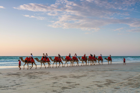 Vanuit Agadir: Kamelenrit bij zonsondergang met BBQ diner en transfers