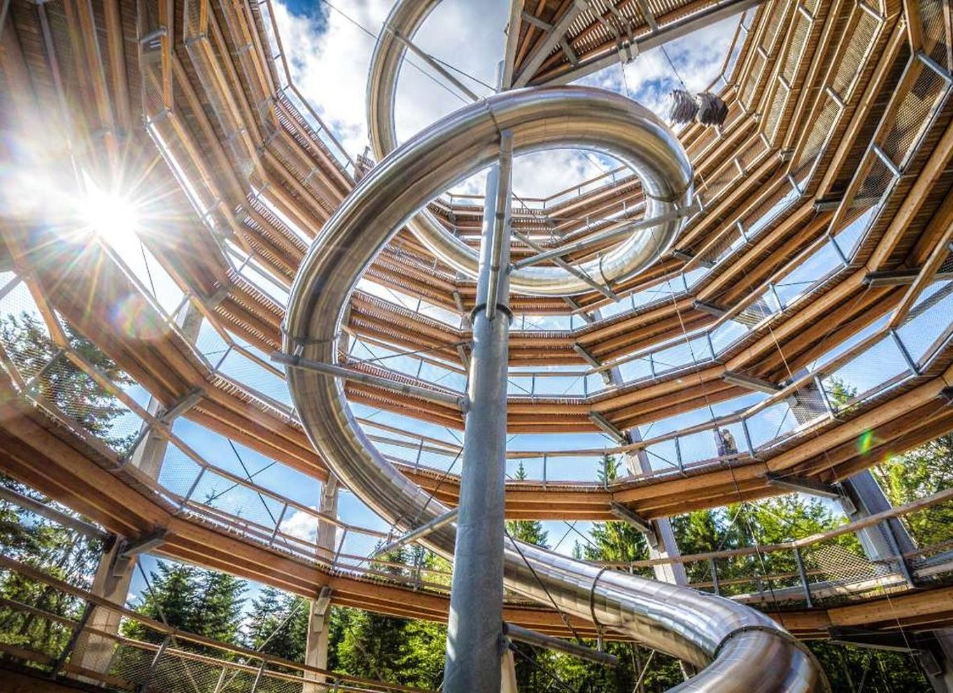 Schwarzwald: Treetop Walk & Lookout Tower Experience