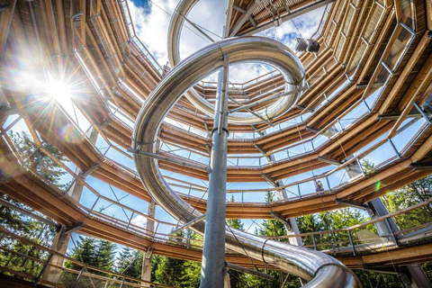 Czarny Las: Spacer w koronach drzew i wieża widokowa