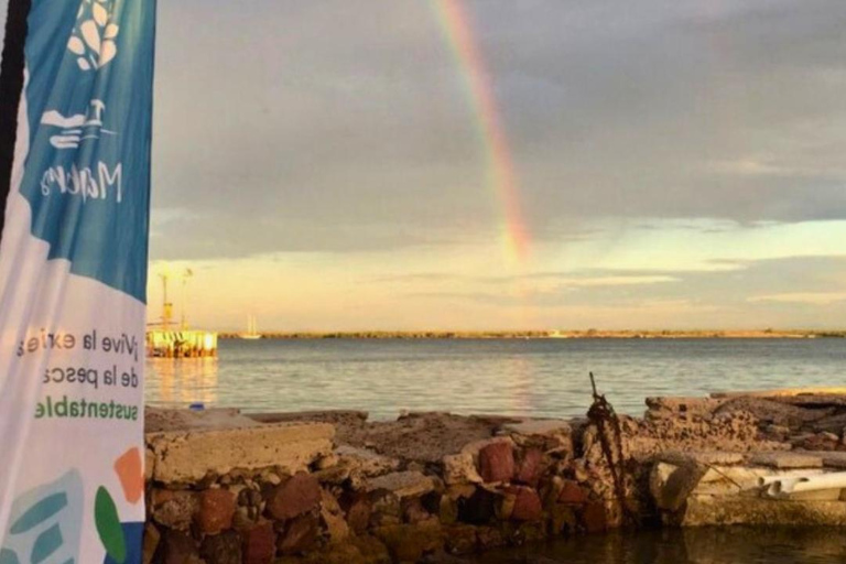 La Paz: Mangrove Adventure, Snorkeling and Shellfish Tasting