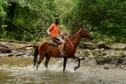 Wild Day: Animals & Adventure Safari from San Jose