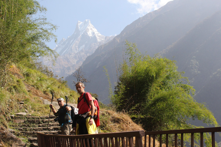 Pokhara: Trekking al Campo Base del Annapurna - 5 Días