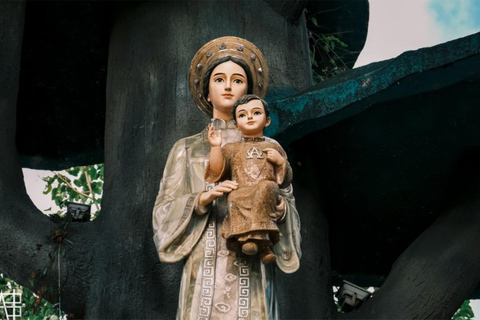 From Ninh Binh: Phong Nha-Ke Bang and Khe Sanh 2-Day Tour Full package with train ticket