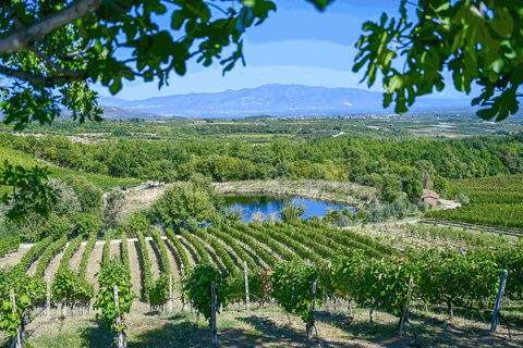 De Thessalonique : Dégustation de vins Pella-Edessa-Naousa