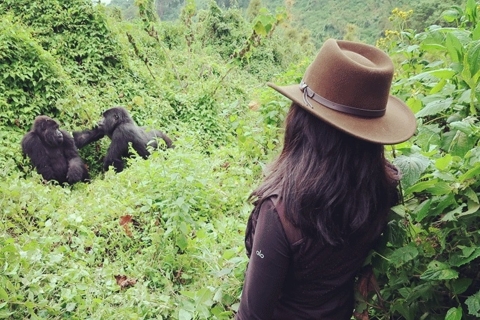 Ultimate 7 Day Tour Uganda + Rwanda -Gorilla Trek, Chimpanze