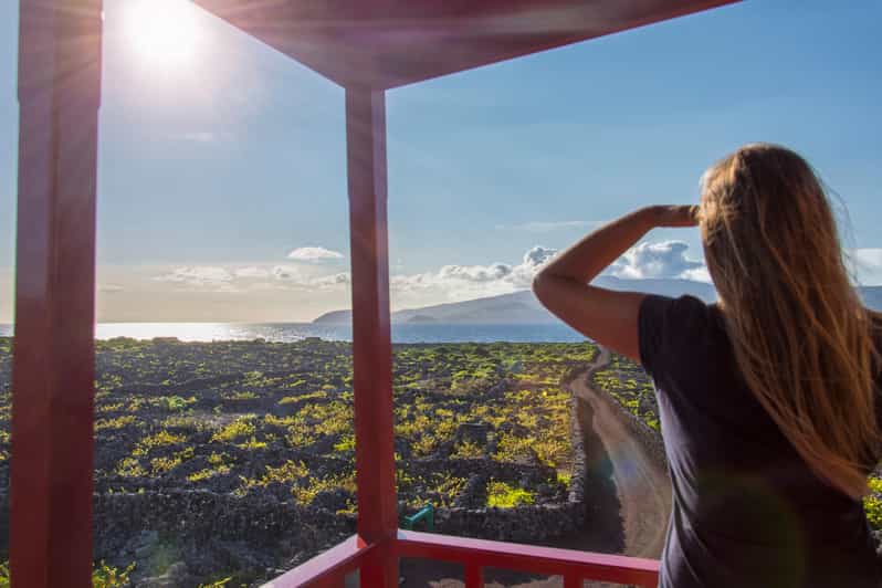 Pico Island: Wine and Vineyards Tour with Tasting