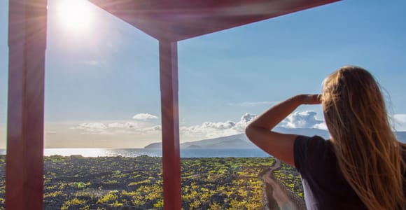 Pico Island: Wine and Vineyards Tour with Tasting