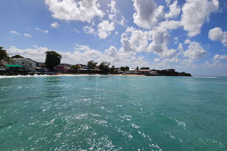 Barbados: Tour guiado panorámico privado