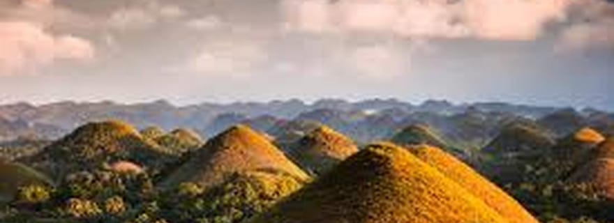 Bohol : visite des Chocolate Hills, des tarsiers et de la rivière Loboc