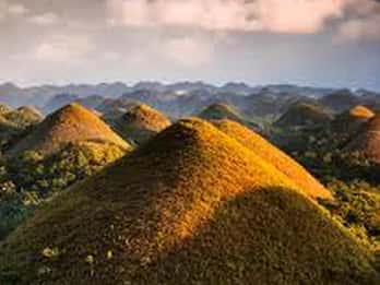 Bohol: Chocolate Hills, Tarsier, and Loboc River Tour