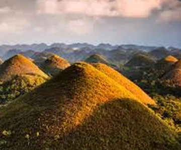 Bohol: Chokladkullar, tarsier och Loboc River Tour