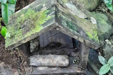 Panamá: Excursión a la Isla de los Monos, el Santuario de los Perezosos y el Lago Gatún